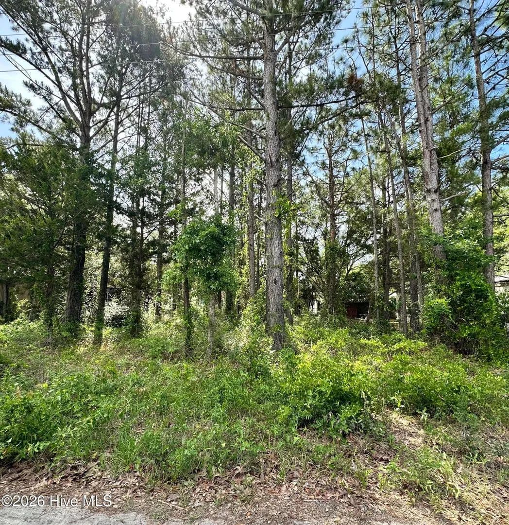 Vacant Land in Shallotte - Shallotte, North Carolina, 28470