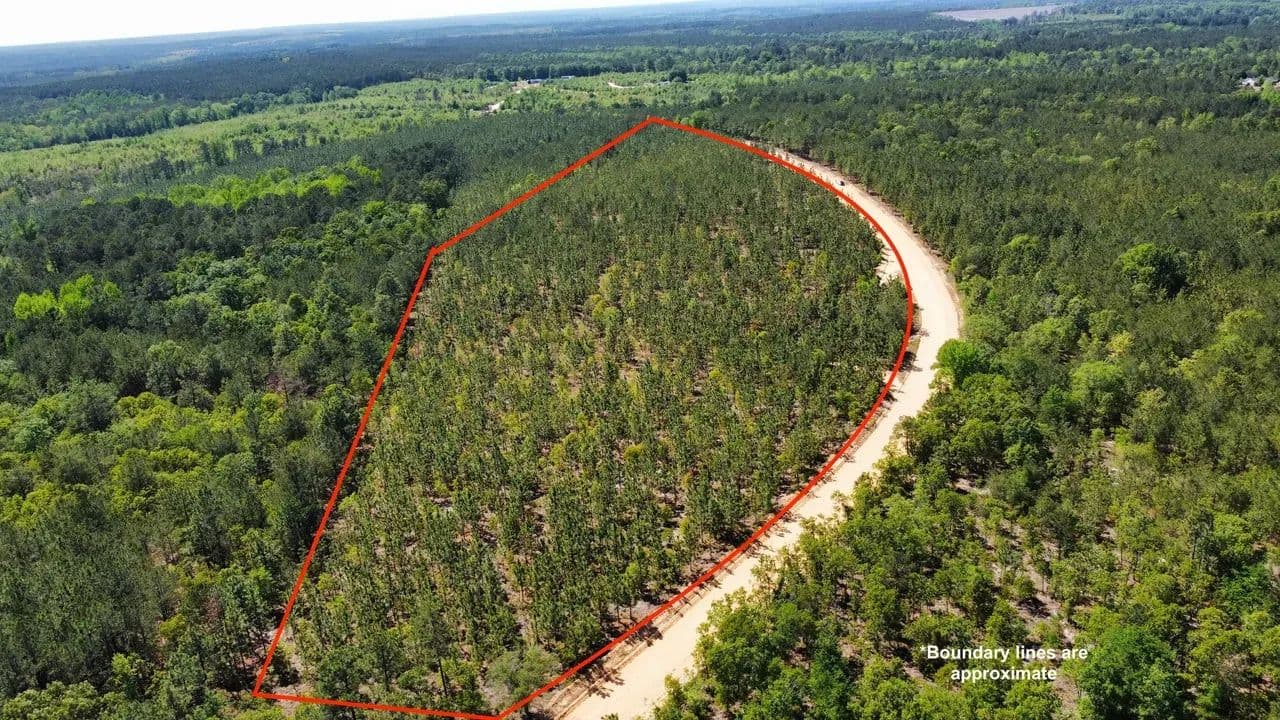 +/-19.32ac - 1045 McQueen Rd Patrick, SC - Chesterfield Co - Patrick, South Carolina, 29584
