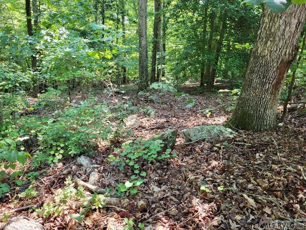 Vacant Land in Ebony - land for sale