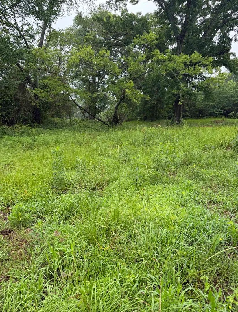 0.22 Acres of Land for Sale in Longview, Texas - Longview, Texas, 75602