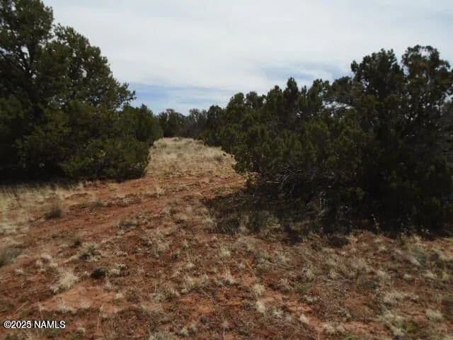 Vacant Land in Williams - Williams, Arizona, 86046