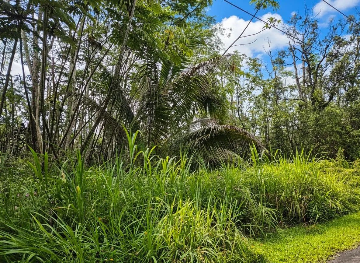 0.18 Acres of Land for Sale in Pahoa, Hawaii - Pahoa, Hawaii, 96778
