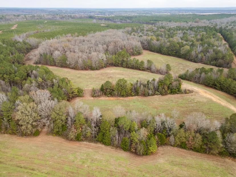 Timberland Farmland For Sale Clay County MS
