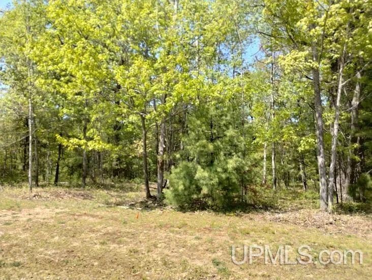 Vacant Land in Rapid River - land for sale