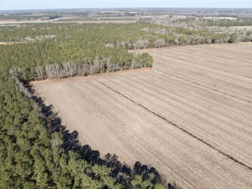 36.29 acres of agricultural and recreational land for sale in Chowan County, NC!