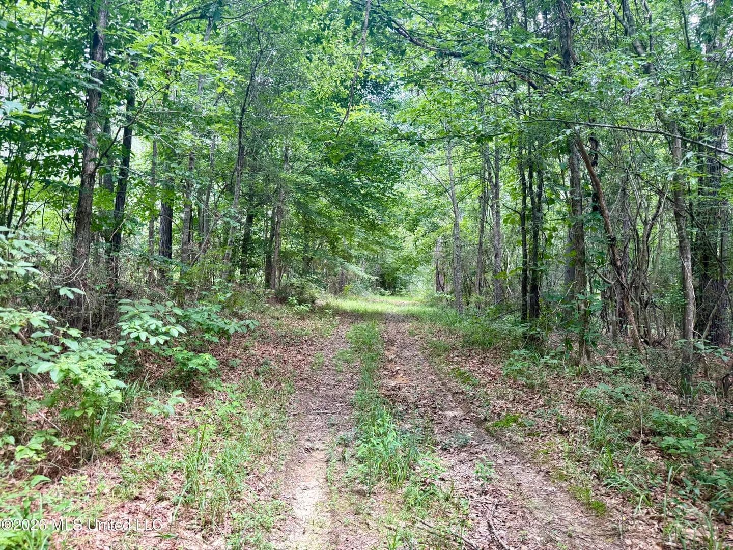 Property from Chisholm Drive - KW - Bogue Chitto, Mississippi, 39629
