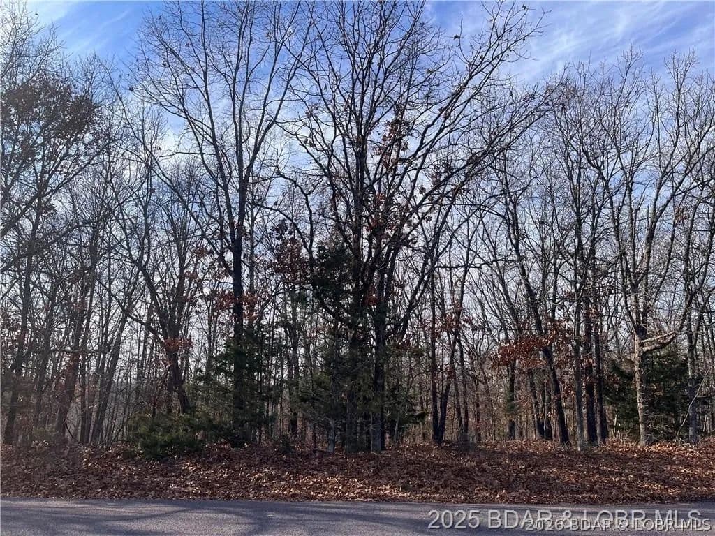 Property from Lot 2, 3, 4 & 5 South Buck Creek Road - KW - Gravois Mills, Missouri, 65037