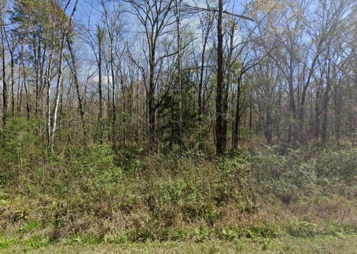 2 Acres of Land for Sale in Hastings, Florida - Hastings, Florida, 32145