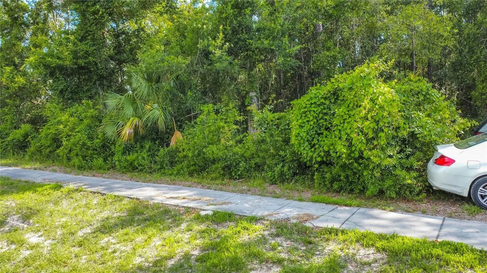 Property from 4176 W GULF TO LAKE HIGHWAY - KW - Lecanto, Florida, 34461