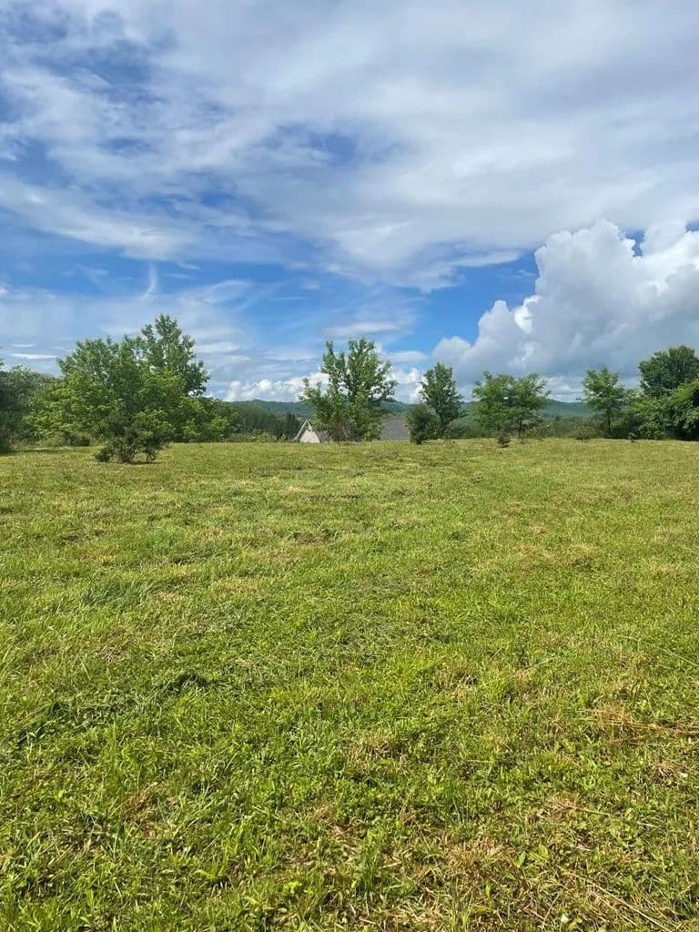 Land -Single Family Acreage in Tazewell - Tazewell, Virginia, 24651