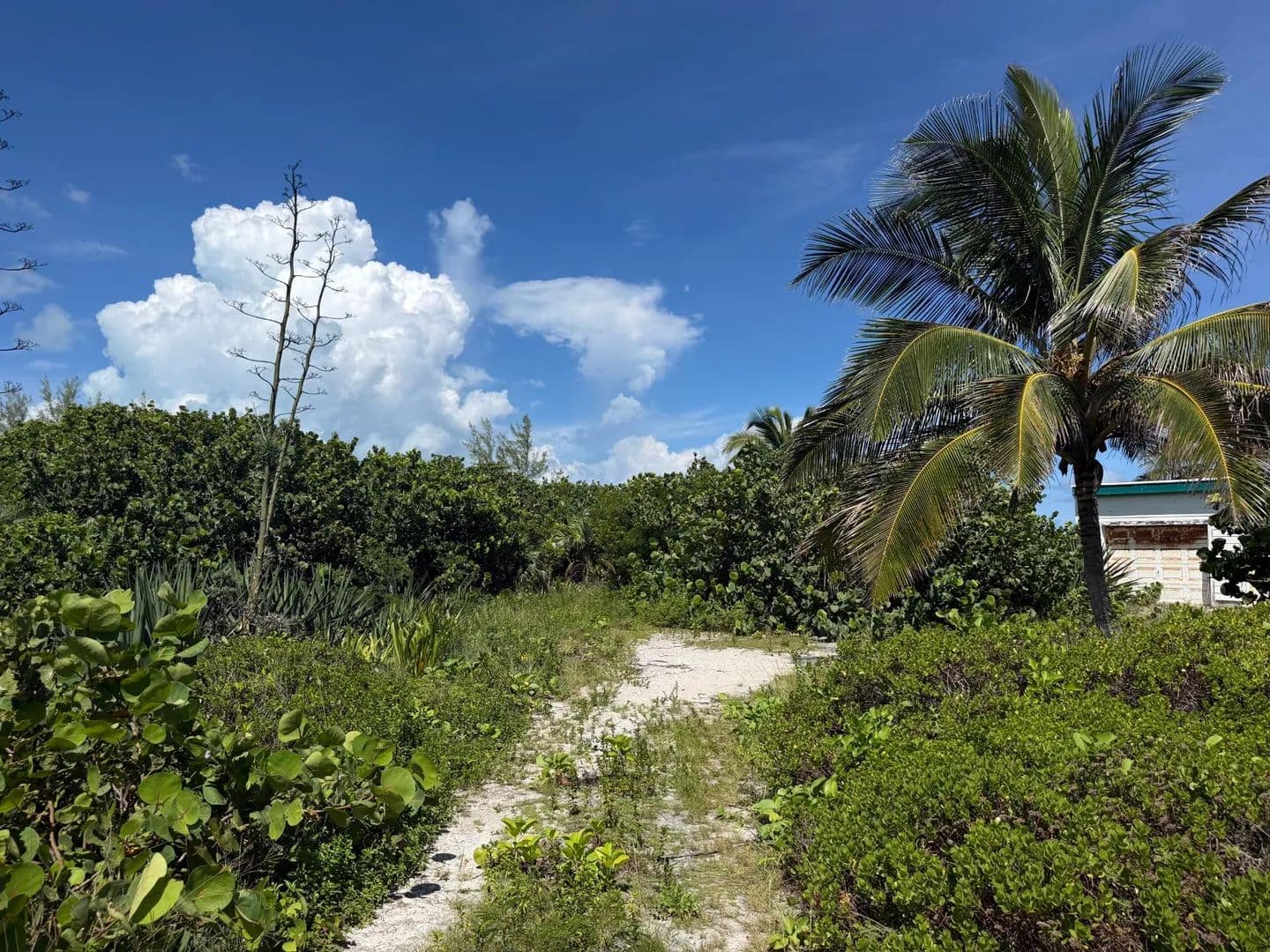 Vacant Land in Gregory Town, Eleuthera - land for sale