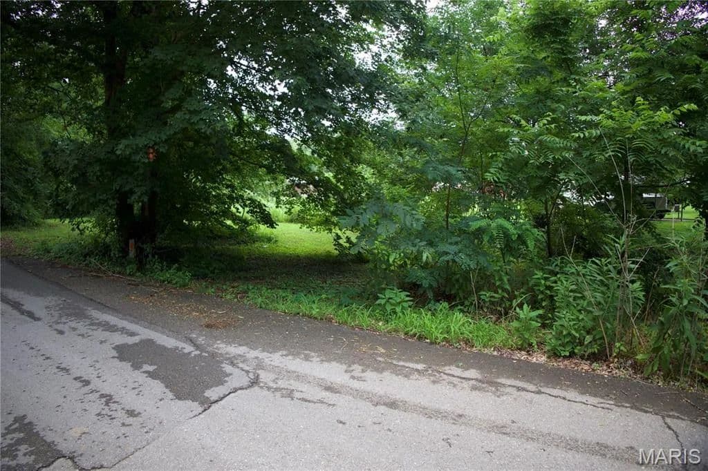 0.35 Acres of Land for Sale in Chaffee, MO - Chaffee, Missouri, 63740