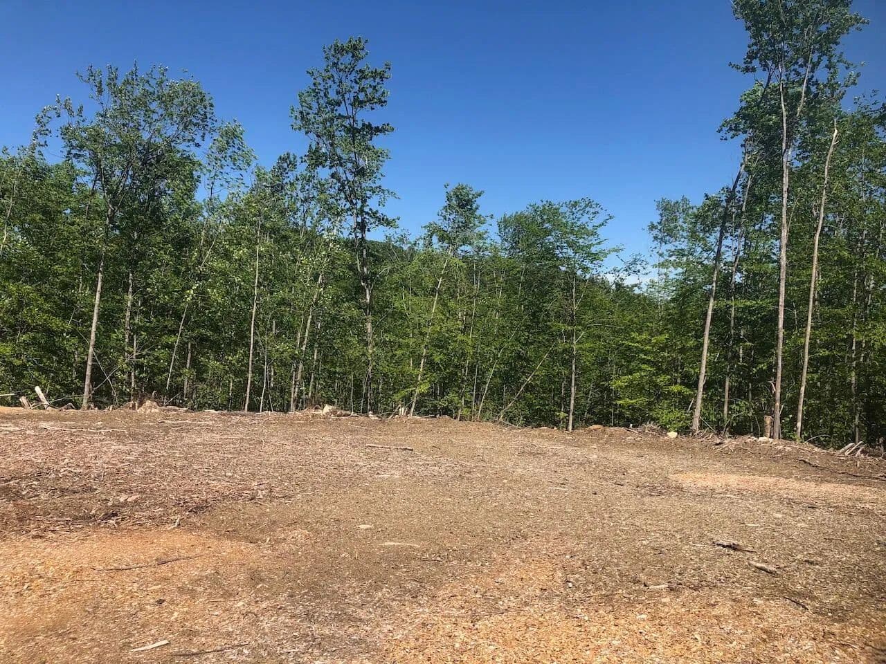 120 Acres of Land for Sale in Jay, Maine - Jay, Maine, 04239