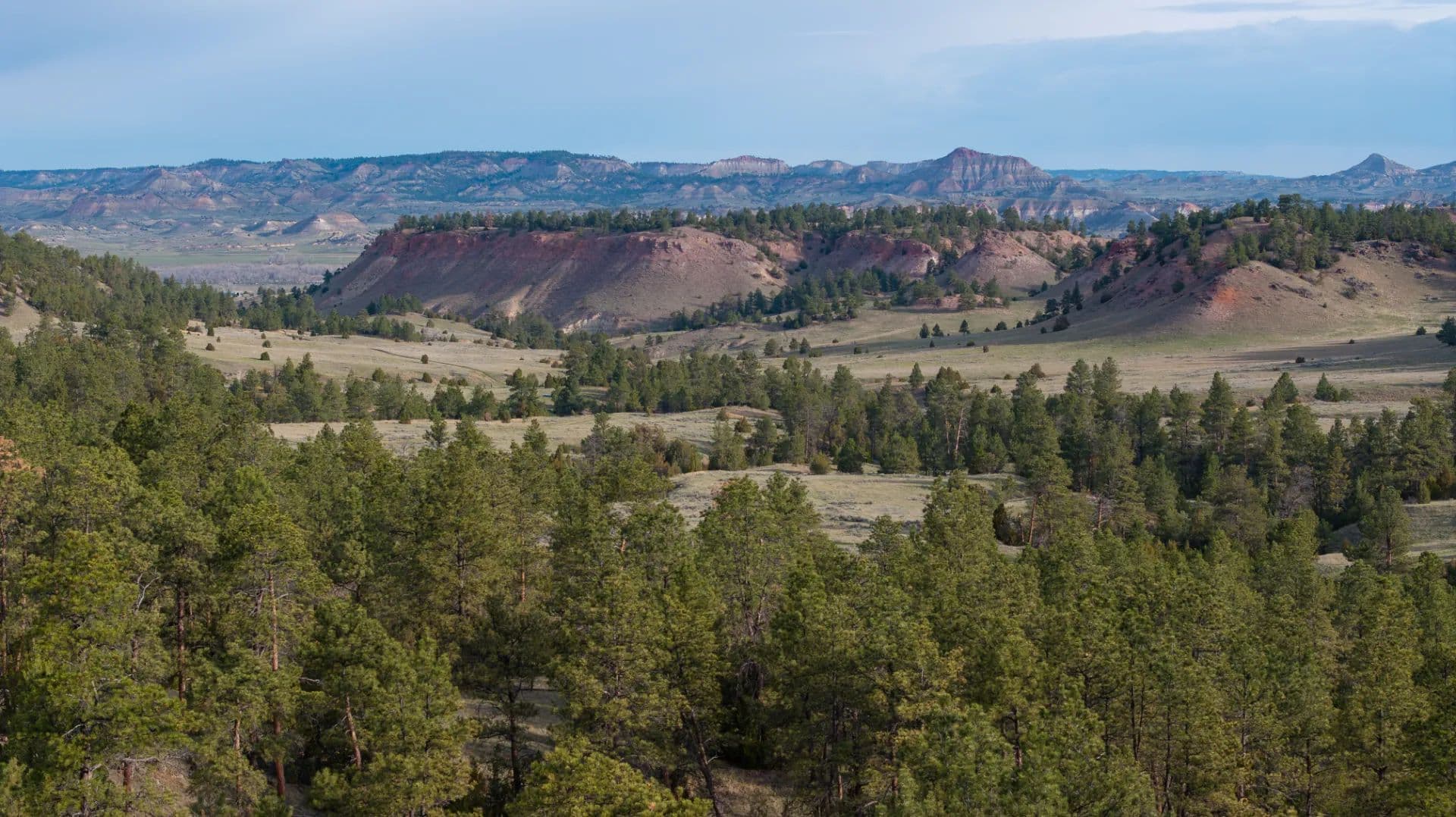 Rockin' Bar Ranch - land for sale