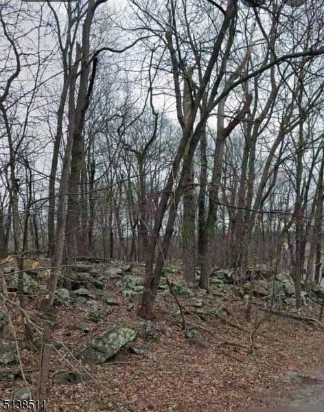 0.2 Acres of Land for Sale in Sussex County, New Jersey - New Jersey, 07461