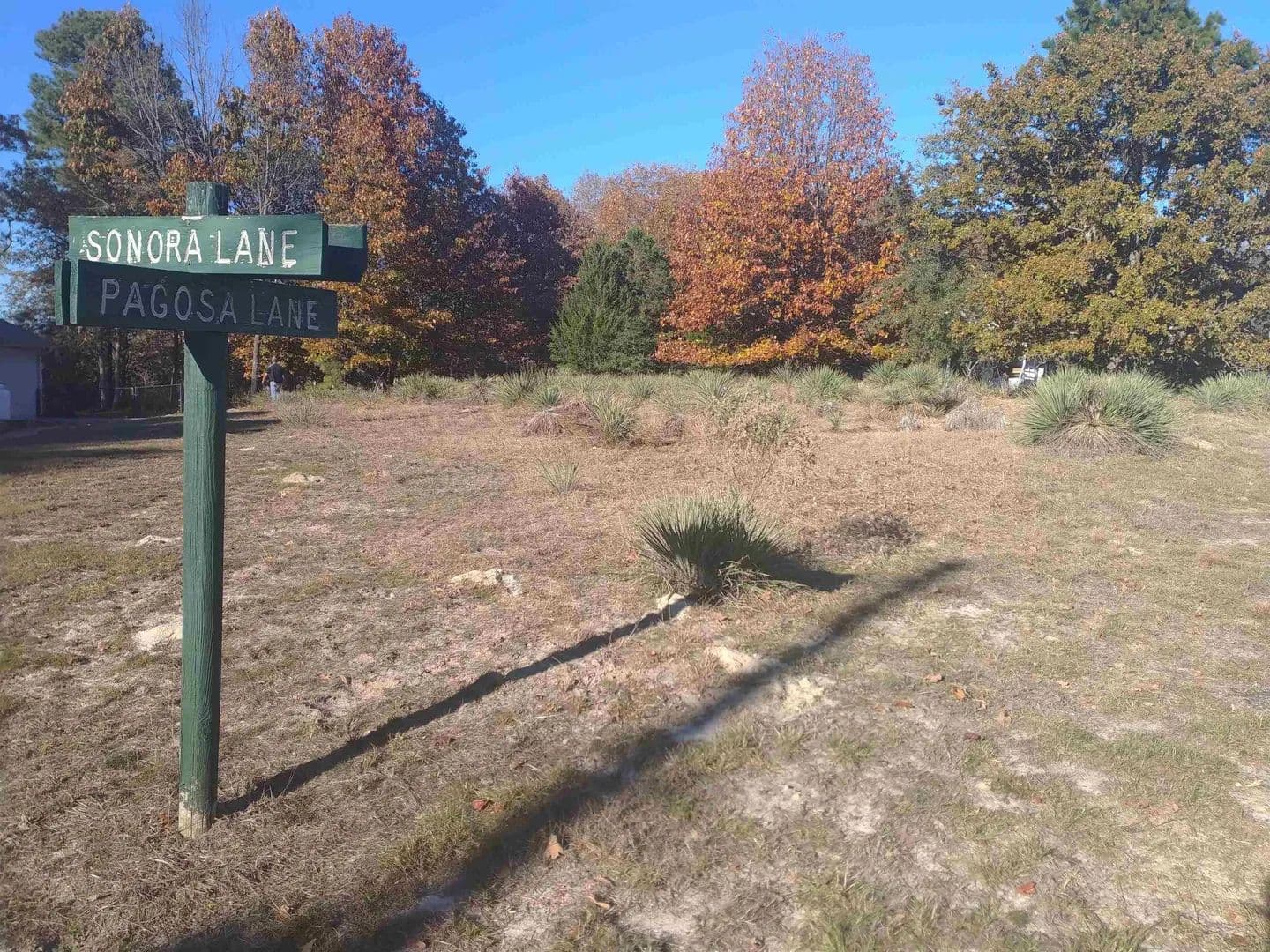 Vacant Land in Holly Lake Ranch - land for sale
