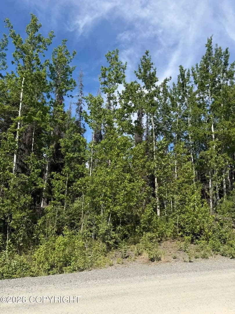 Vacant Land in Sterling - Sterling, Alaska, 99672
