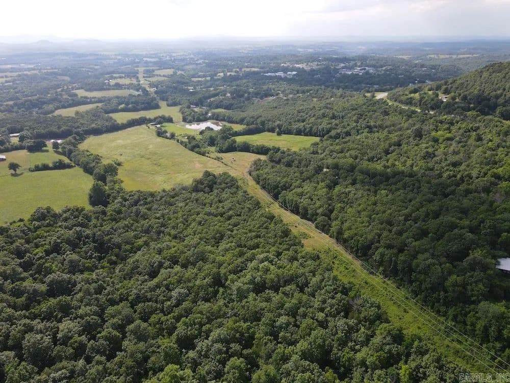 117 Acres of Land for Sale in Marshall, Arkansas - Marshall, Arkansas, 72650