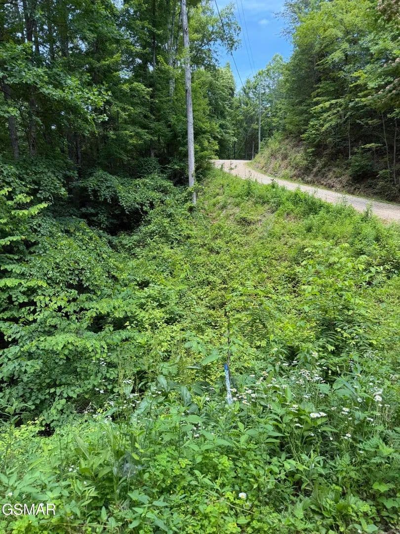 0.34 Acres of Land for Sale in Sevierville, Tennessee - Sevierville, Tennessee, 37876