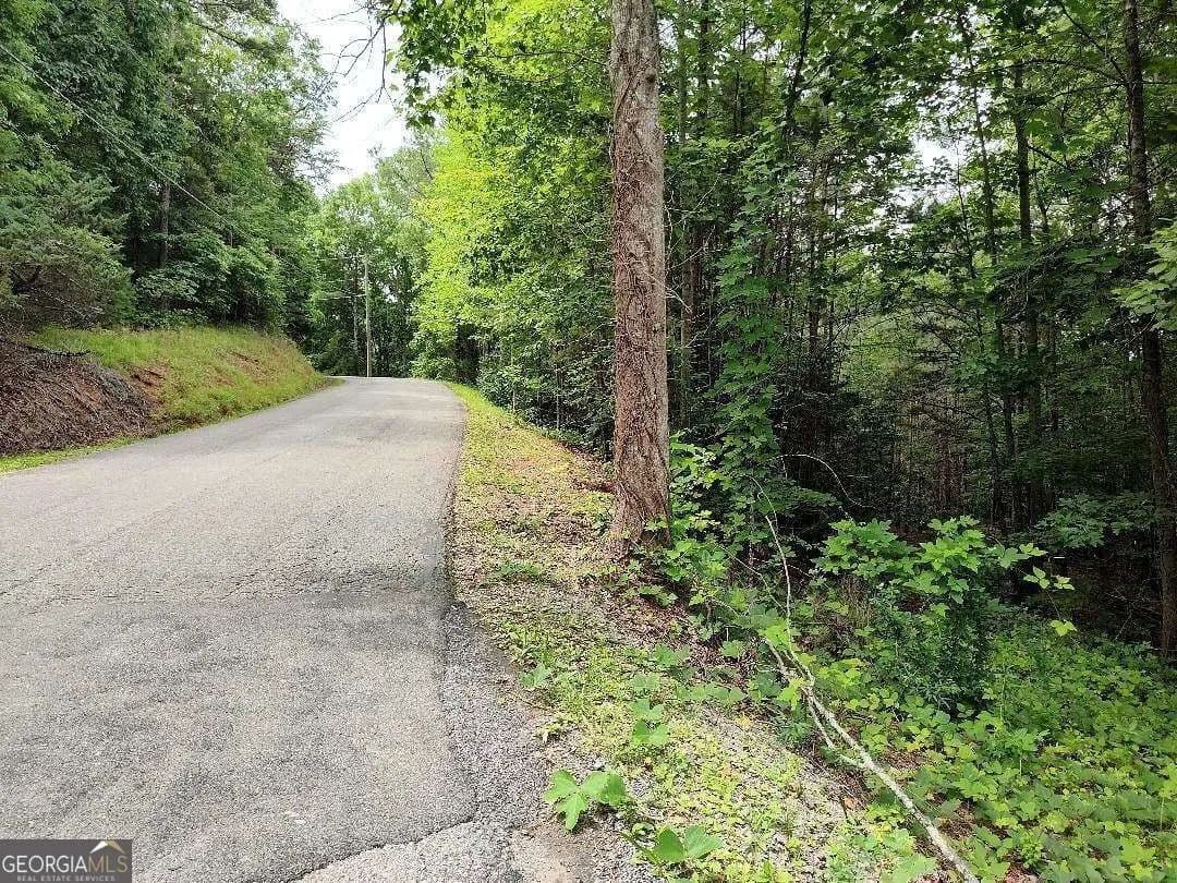 1.3 Acres of Land for Sale in Ranger, GA - Ranger, Georgia, 30734