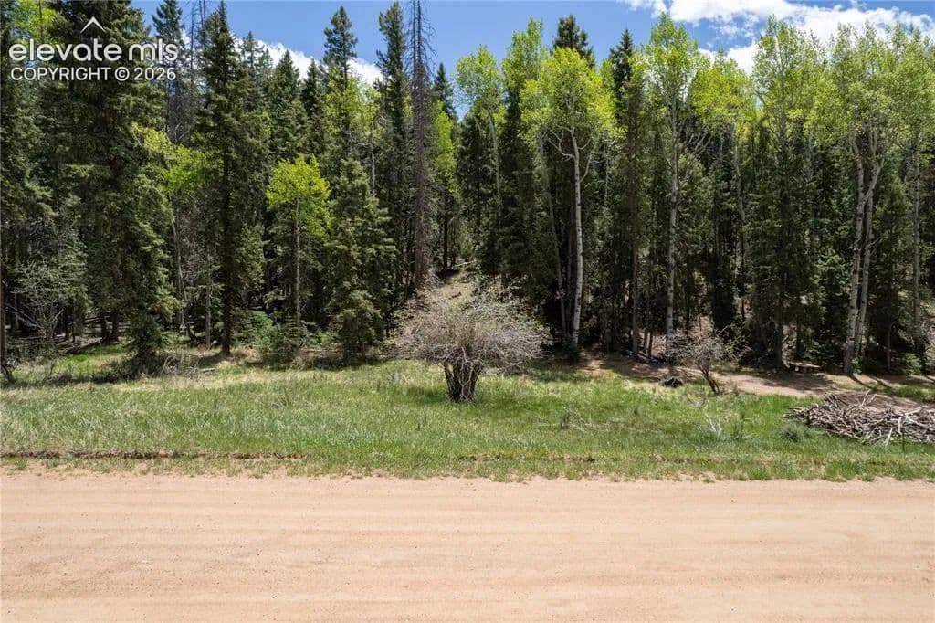 Property from 546 Spring Valley Lane - KW - Florissant, Colorado, 80816