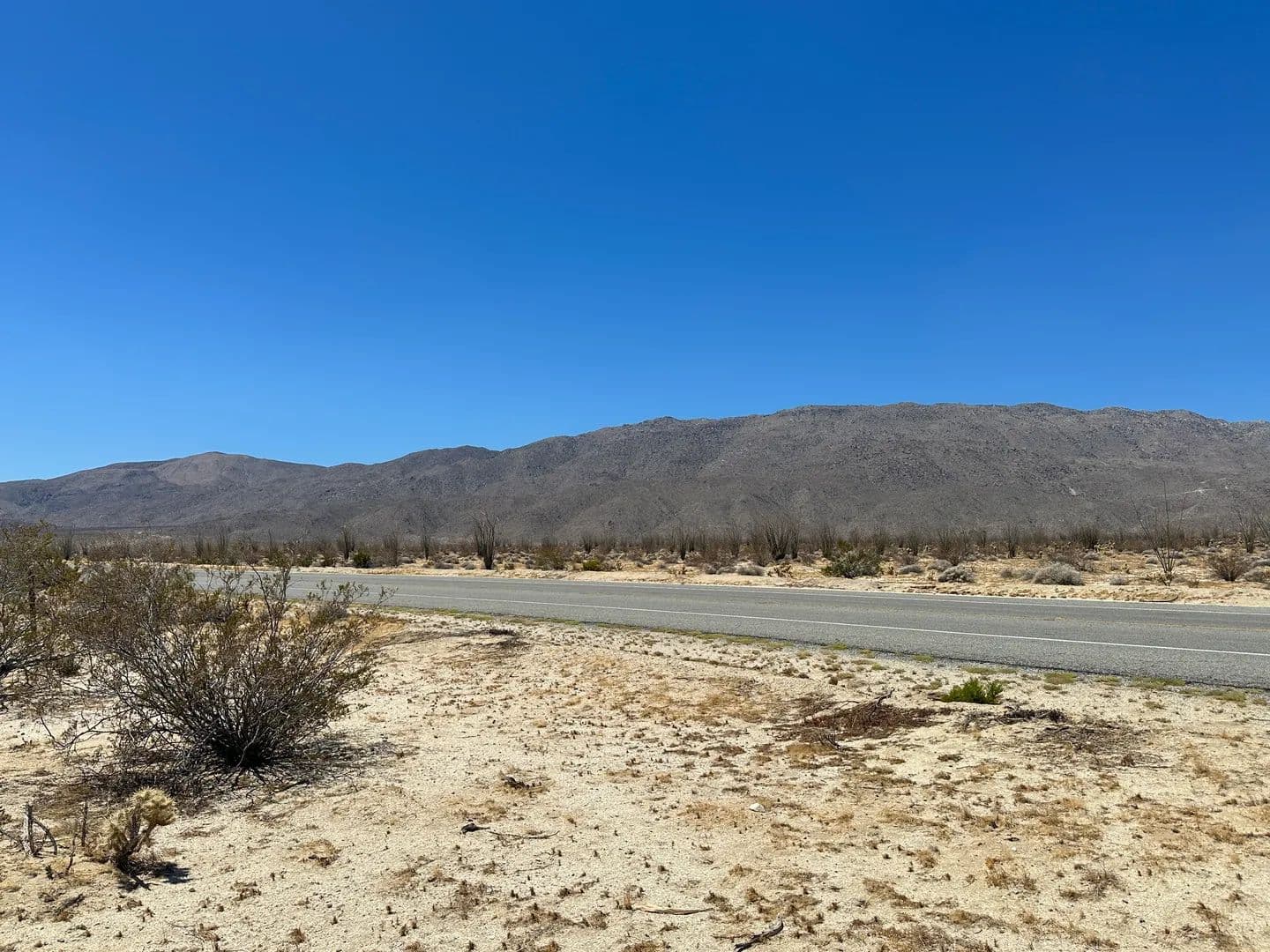 Vacant Land in Borrego Springs - Borrego Springs, California, 92004