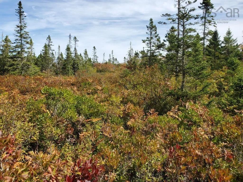 Property from Lot Rockland Road - KW - land for sale