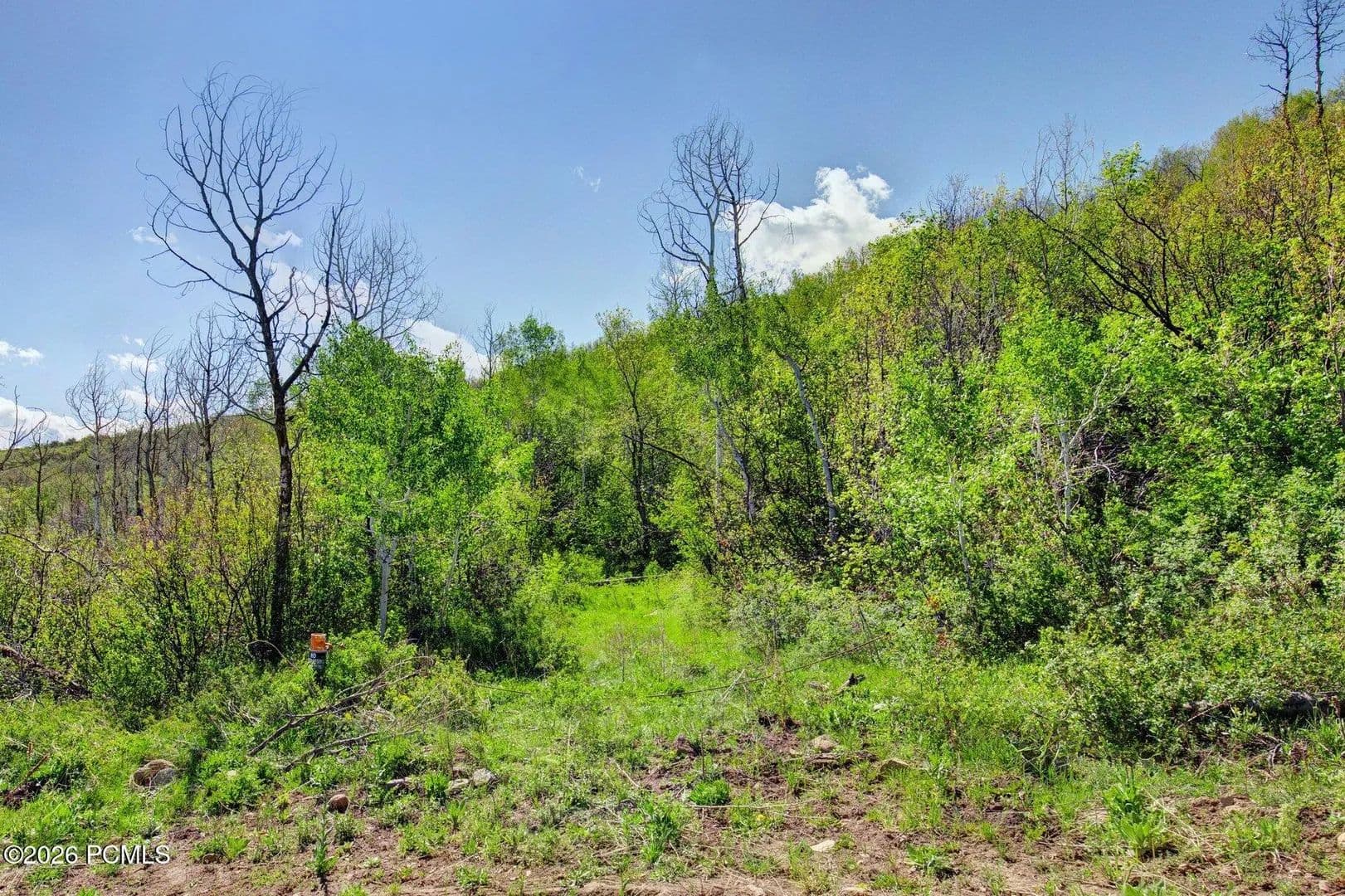 5 Acres of Land for Sale in Kamas, Utah - Kamas, Utah, 84036