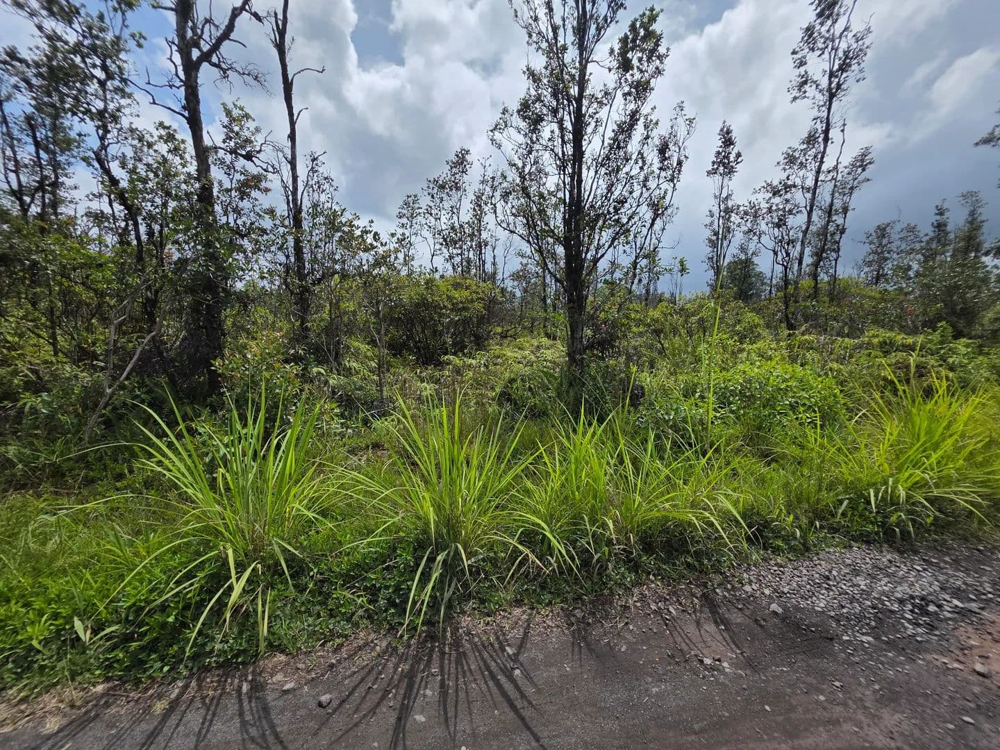 Vacant Land in Kurtistown - land for sale