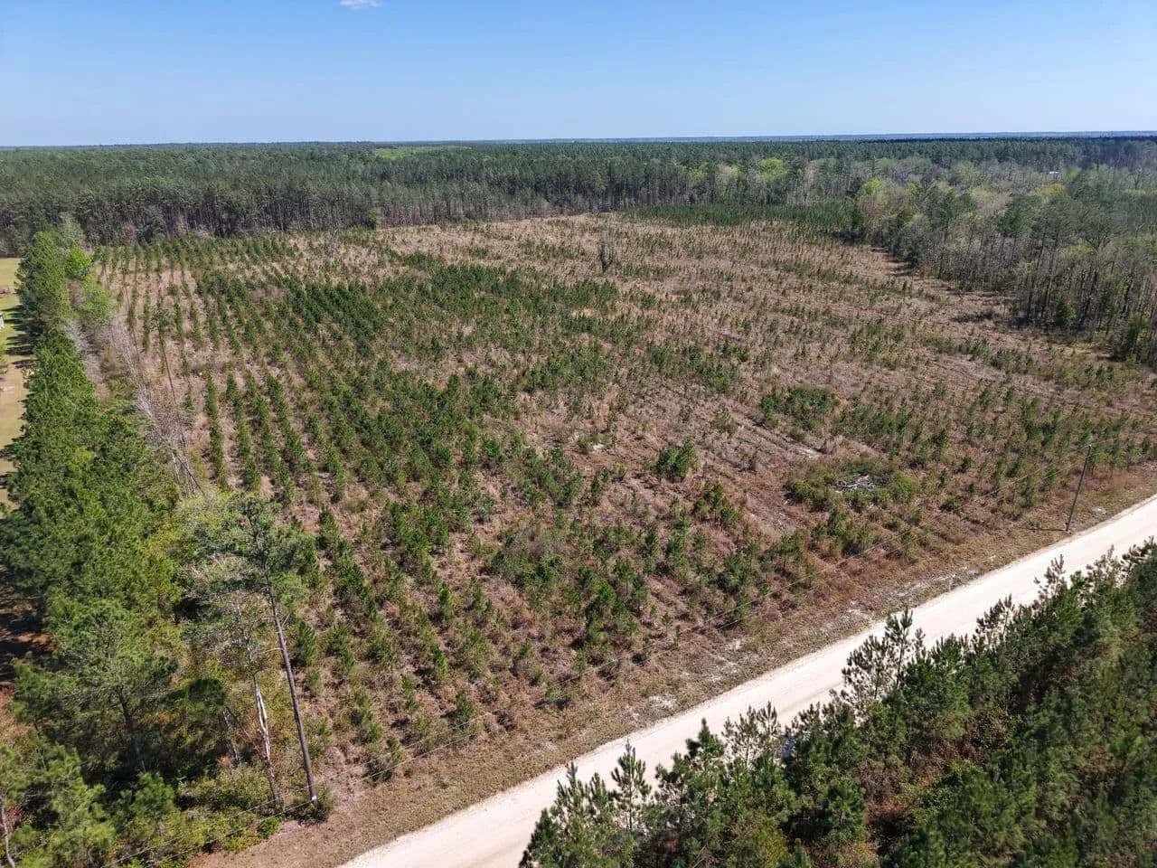 30.65 +/- Ac Land for Sale in Camden County, GA - White Oak, Georgia, 31568