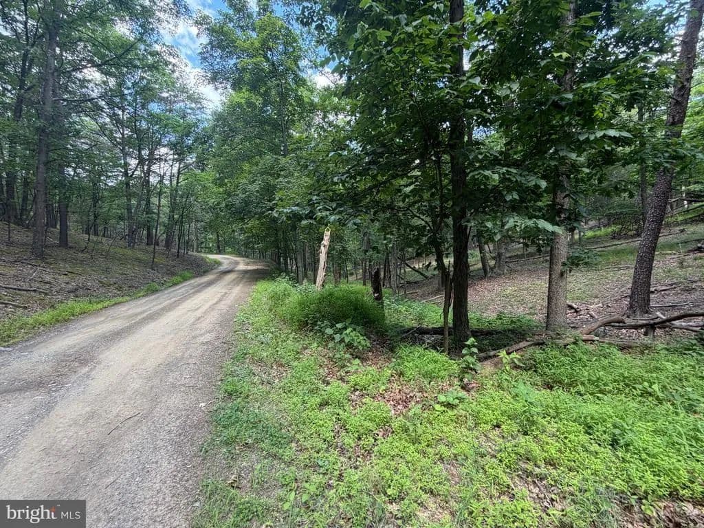 71.19 Acres of Land for Sale in KEYSER, WV - Keyser, West Virginia, 26726