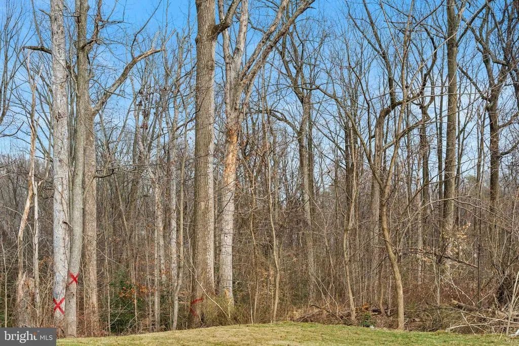 0.64 Acres of Land for Sale in SUITLAND, MD - Suitland, Maryland, 20746