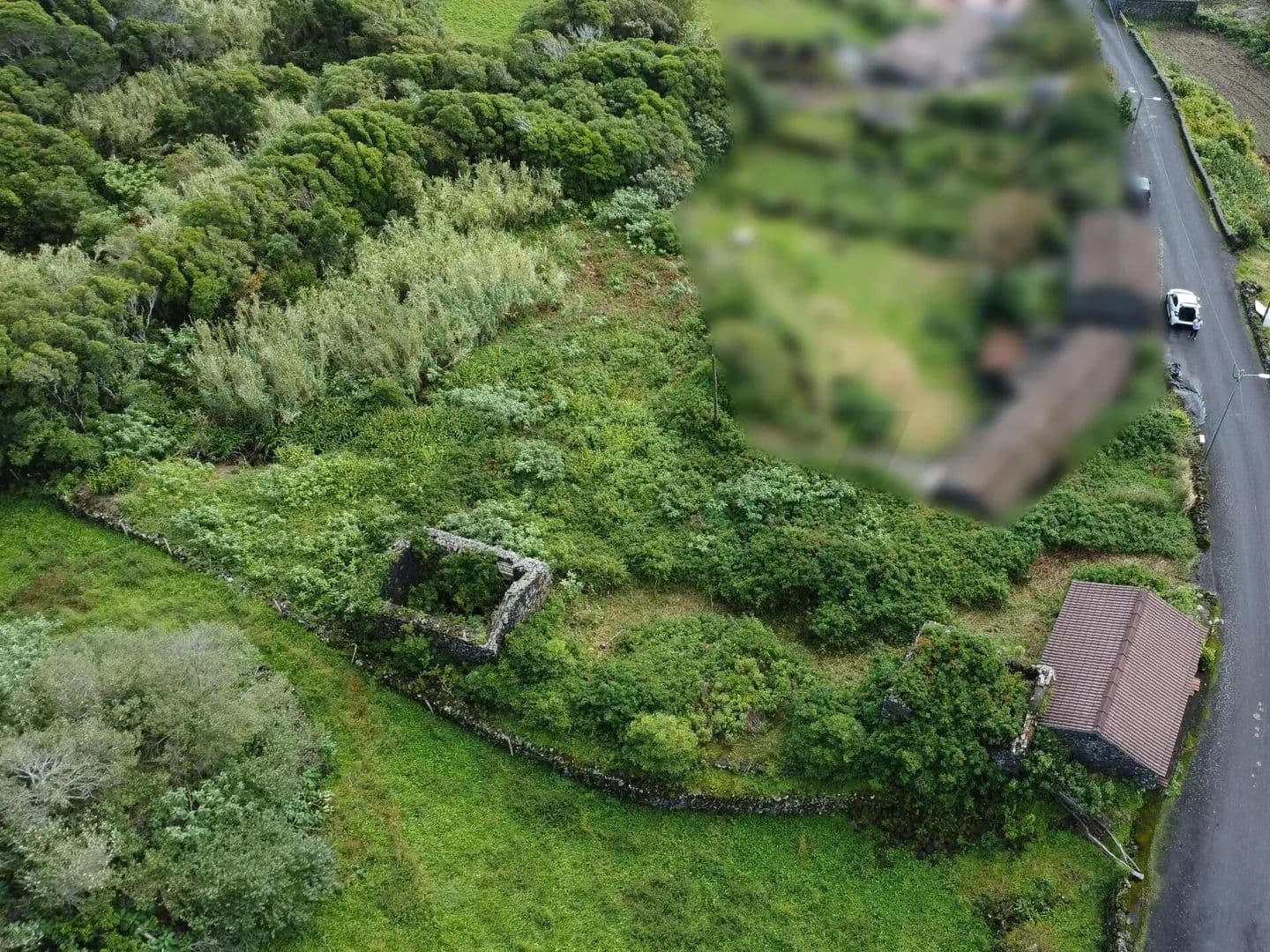 1463 Acres of Land for Sale in Calheta de Nesquim, Lajes do Pico - land for sale
