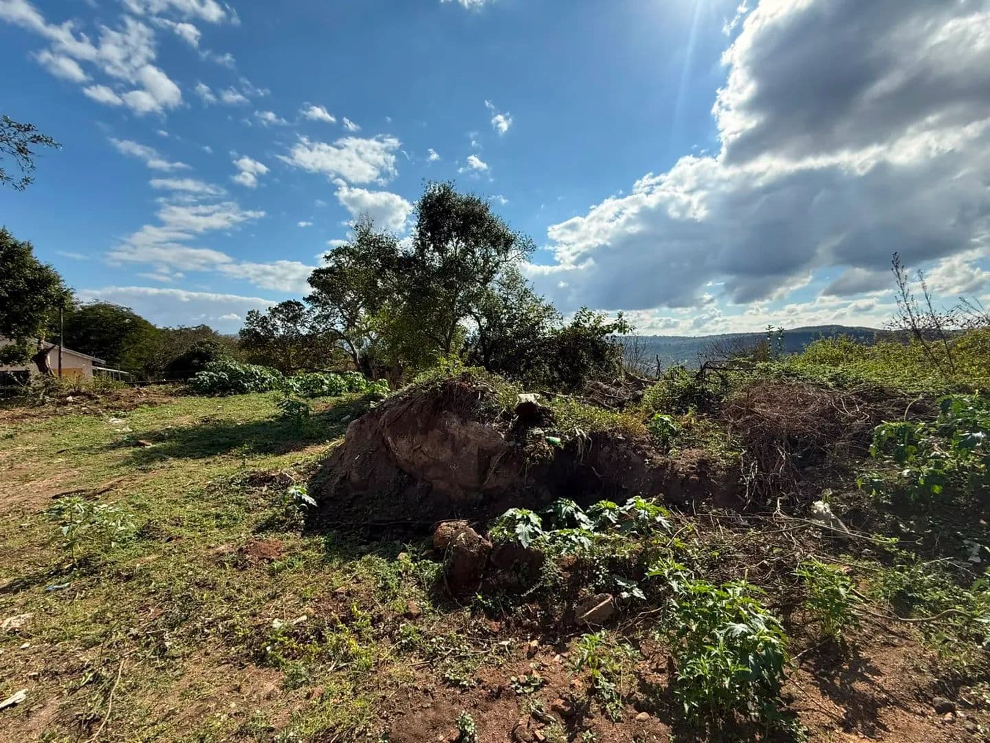 1040 Acres of Land for Sale in Hazyview, Mpumalanga - South Africa