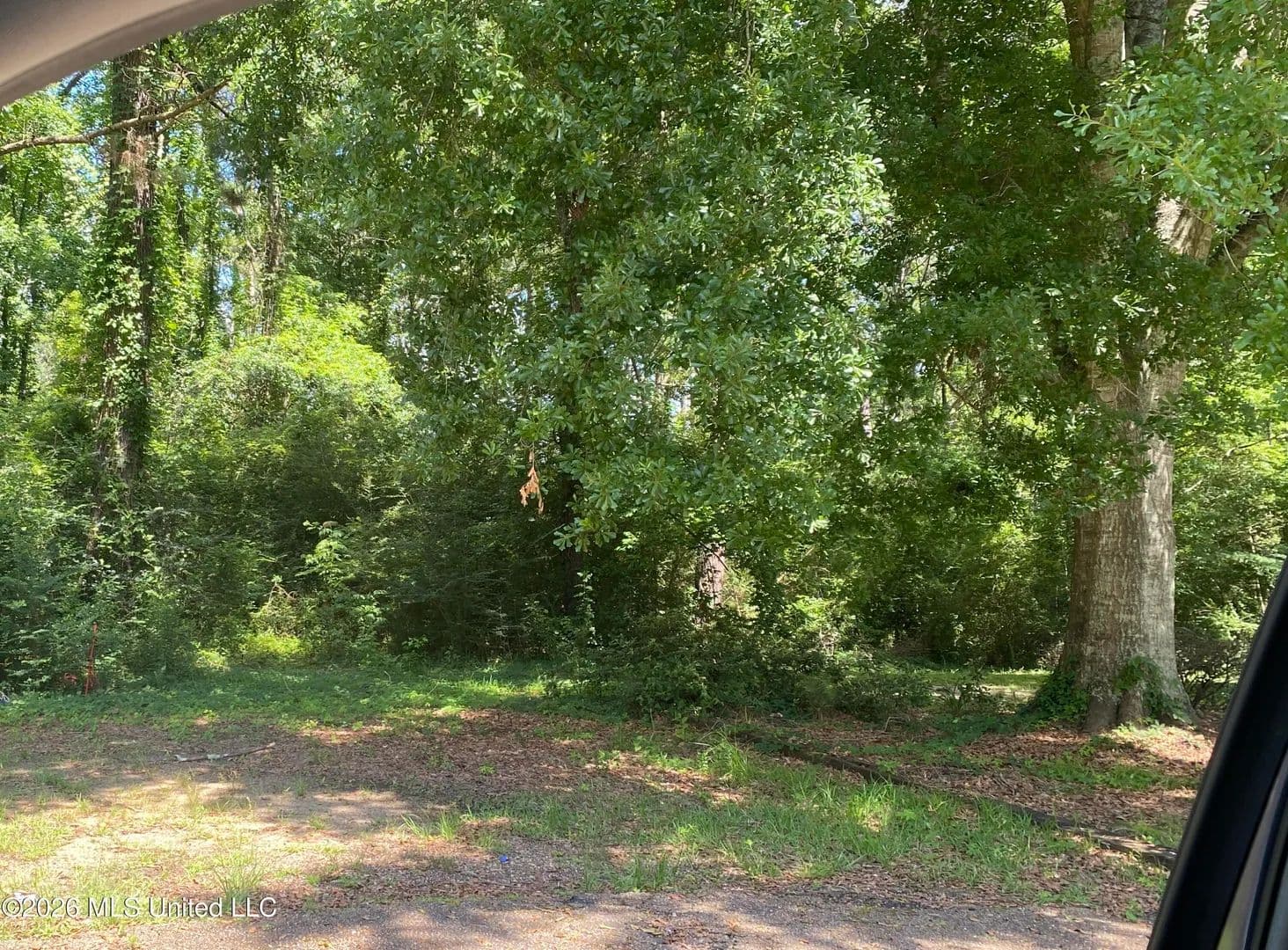 Property from Washington Street - KW - Magnolia, Mississippi, 39652