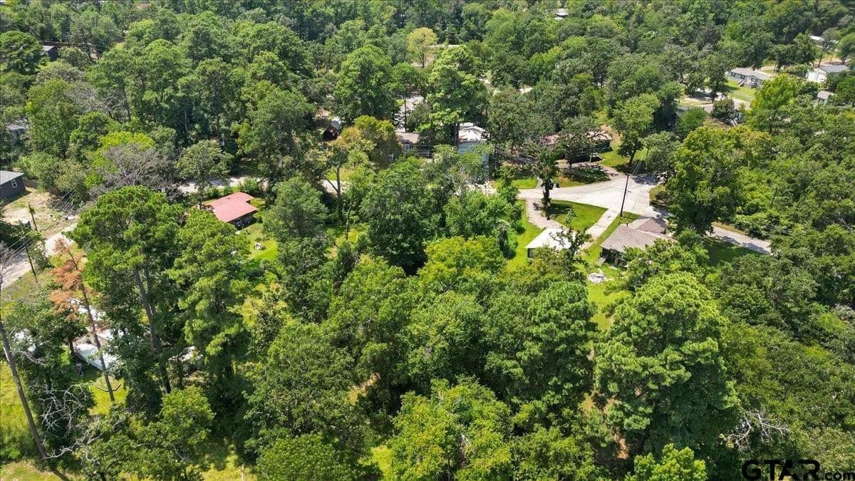 0.2 Acres of Land for Sale in Frankston, Texas - Frankston, Texas, 75763