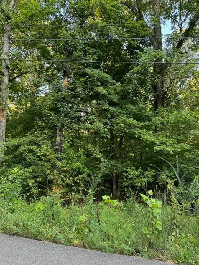 Property from Woodland Hills Road - KW - Hardy, Arkansas, 72542