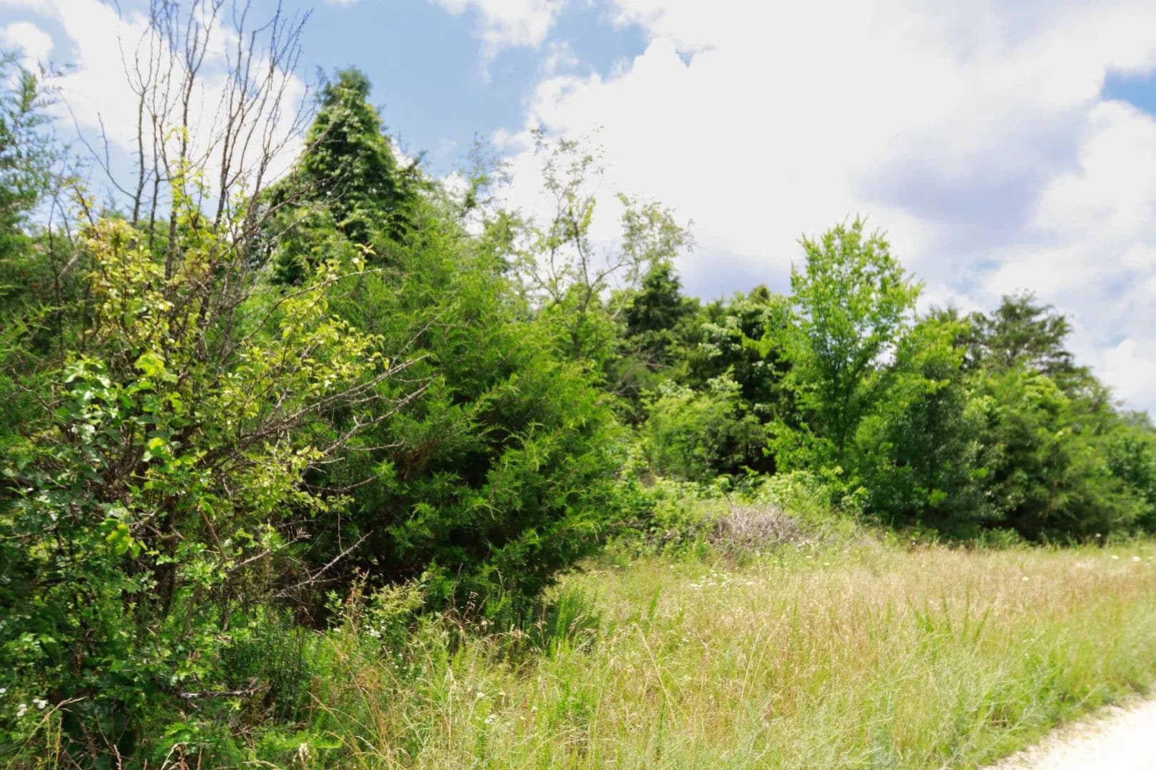4.5 Acres of Land for Sale in Willow Springs, MO - Willow Springs, Missouri, 65793