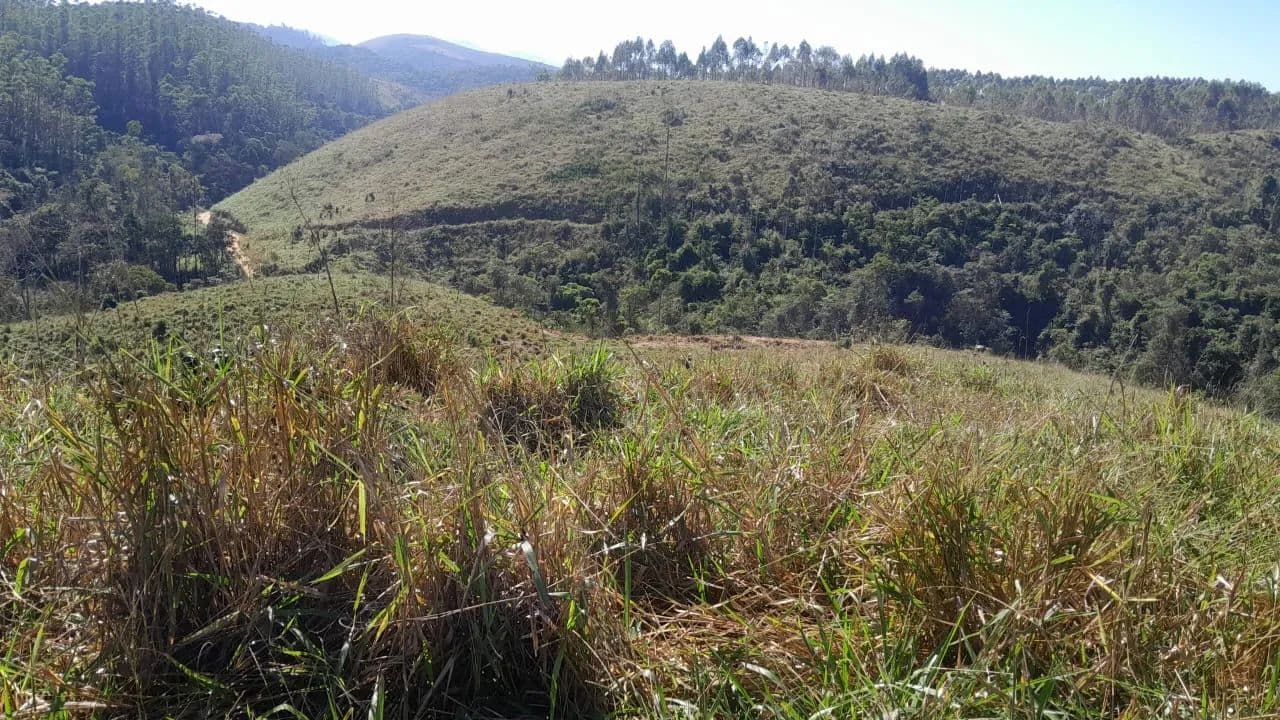 Fazenda Vocação Mista_Pecuária_Floresta - land for sale