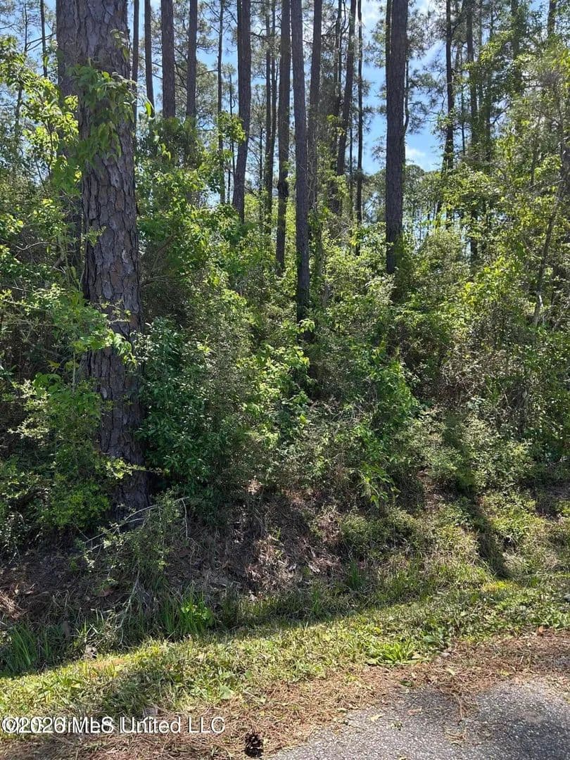 Vacant Land in Pass Christian - Pass Christian, Mississippi, 39571