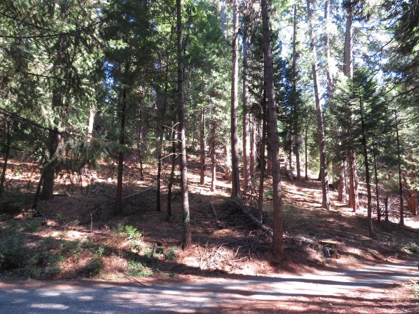 Property from 172 Sylvan Road - KW - Colfax, California, 95713