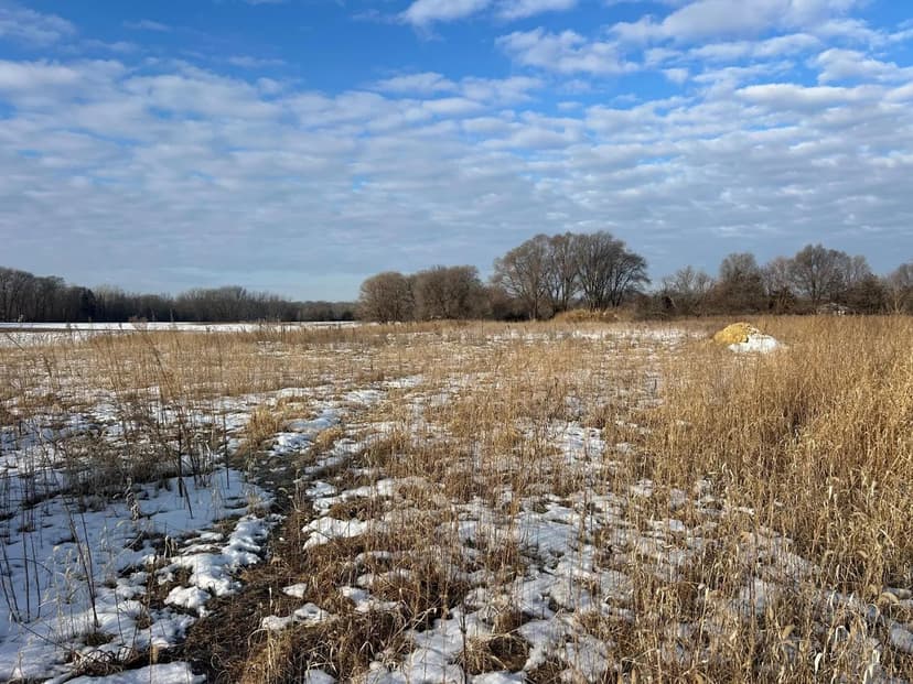 Vacant Land in Hastings