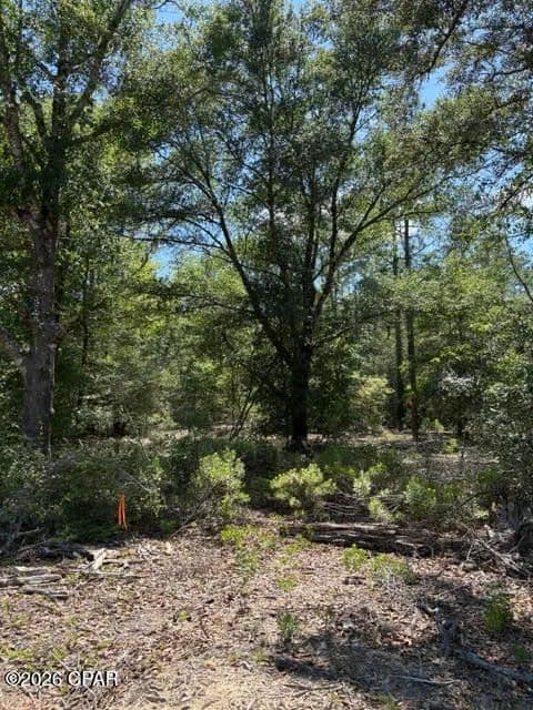 Property from 0 Pasofino Lane #M2-B3 - KW - Alford, Florida, 32420