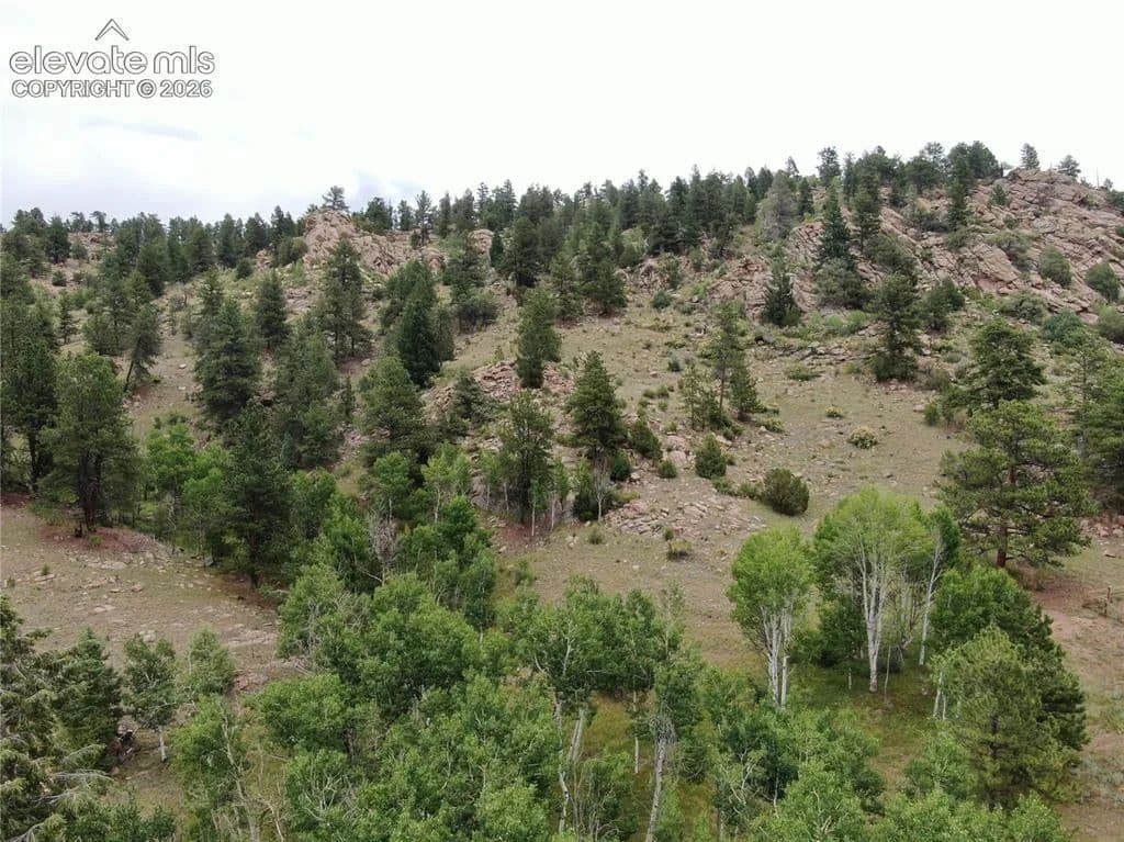 Property from 76 Crocus Circle - KW - Florissant, Colorado, 80816
