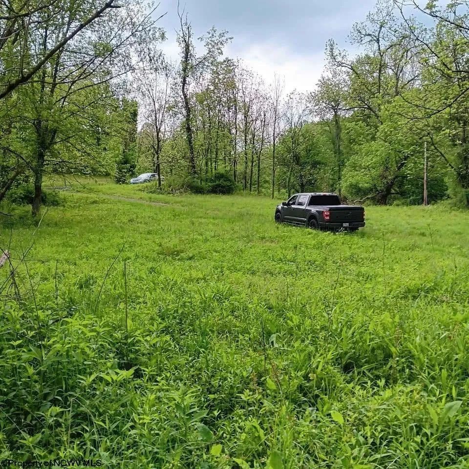 0.88 Acres of Land for Sale in New Milton, WV - New Milton, West Virginia, 26411