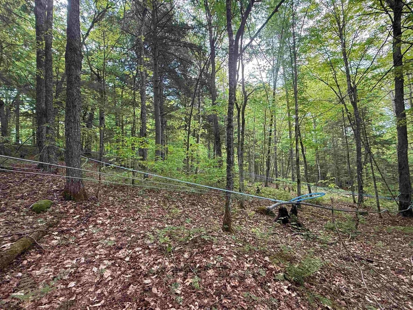 Property from 00 Fuller Road - KW - Newbury, Vermont, 5051