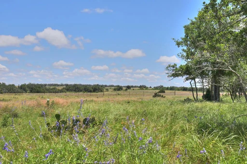 41.04 Acres of Land for Sale in Harper, Texas - Harper, Texas, 78631