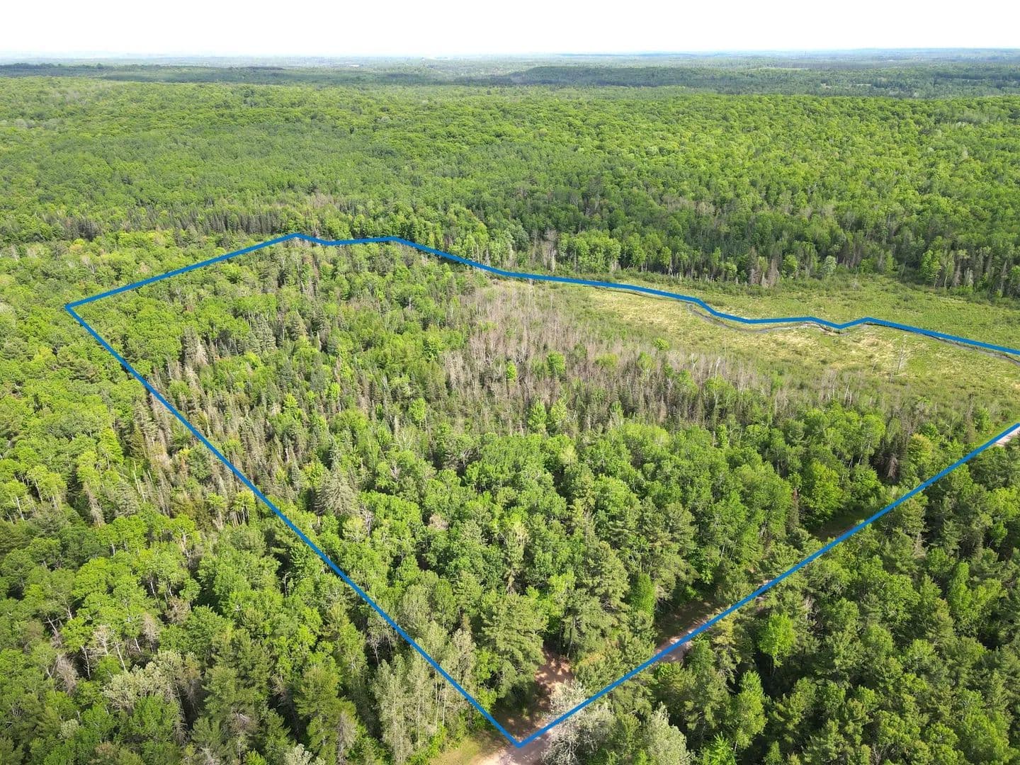 22.07 Acres of Land for Sale in Couderay, Wisconsin - Couderay, Wisconsin, 54828