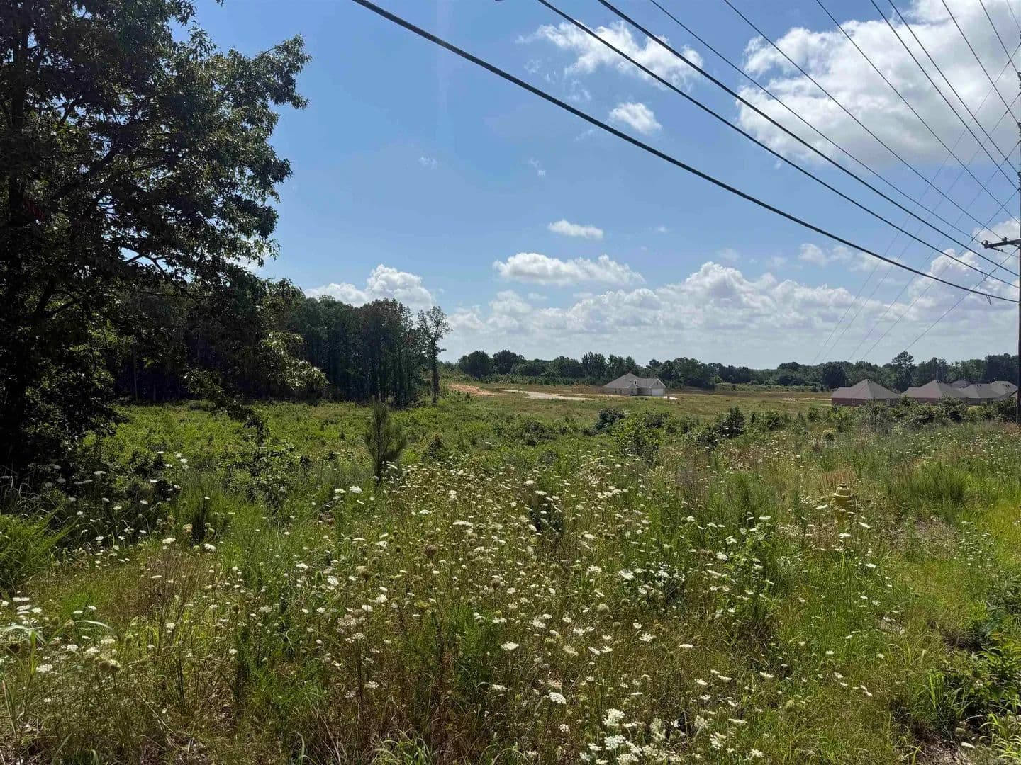 Property from 3.98 acres Mockingbird Lane - KW - Paragould, Arkansas, 72450