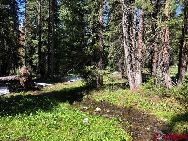 Property from TBD Ruby Silver Road - KW - Crested Butte, Colorado, 81224